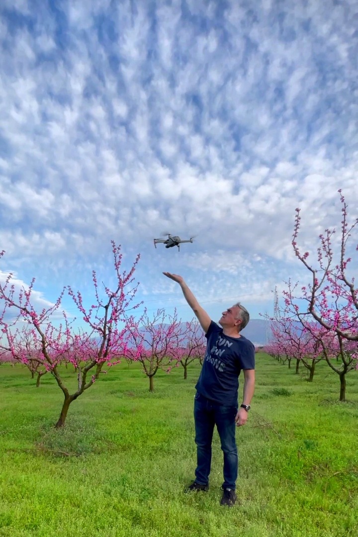 Çiçek açan meyve ağaçları kartpostallık görüntüler oluşturdu. Masalsı görüntüler dron ile görüntülendi 8