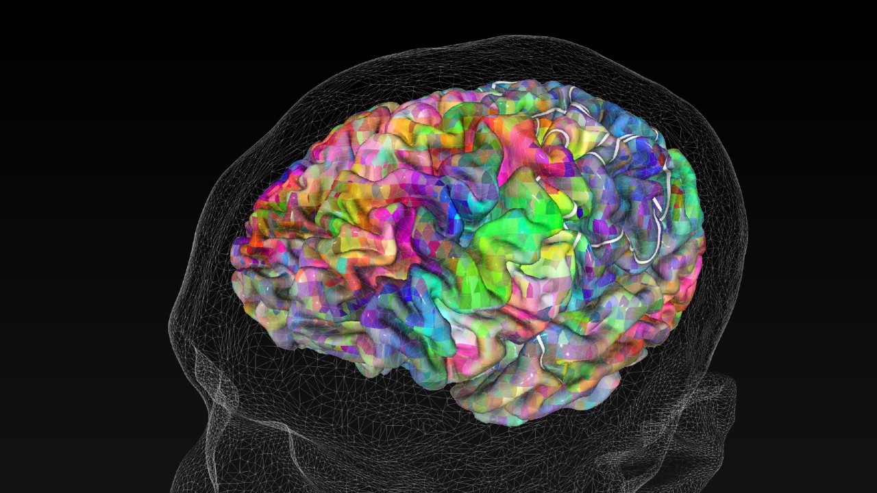 İnsan beyniyle ilgili bilinmeyen gerçekler 10