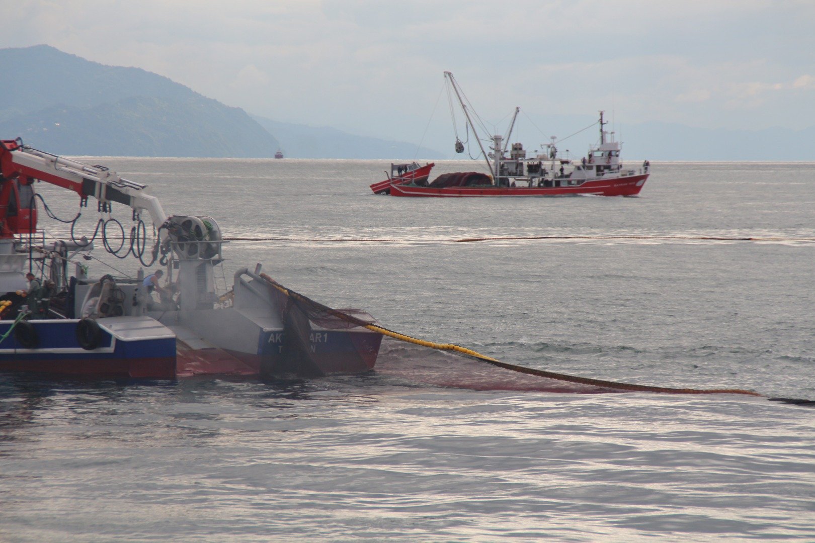 Karadeniz'den kötü haber geldi: Deniz suyu sıcaklığı 2 derece arttı 1