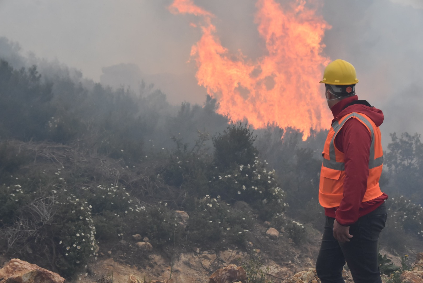 Bodrum’daki orman yangını 6 saat sonunda kontrol altına alındı 11