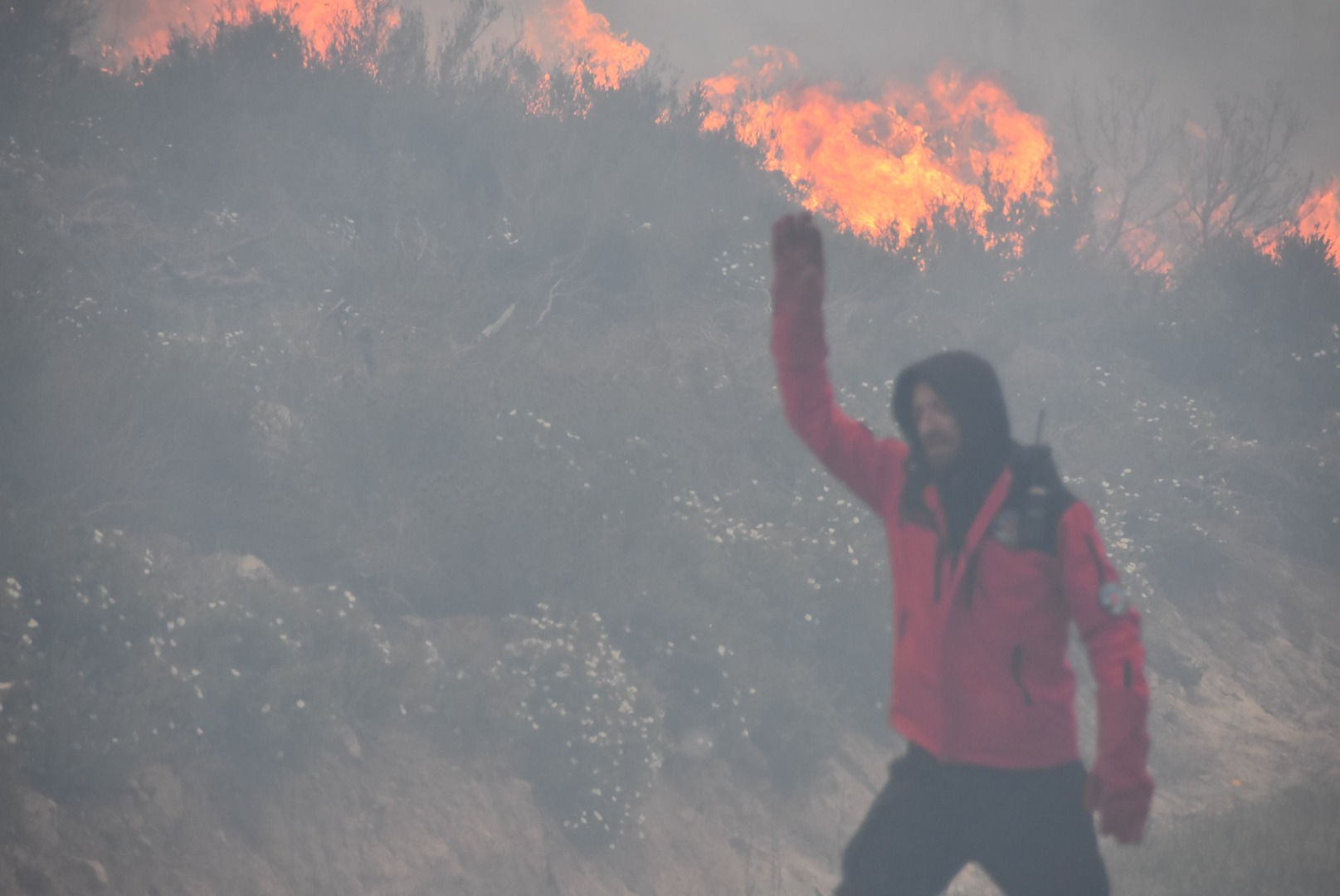 Bodrum’daki orman yangını 6 saat sonunda kontrol altına alındı 7