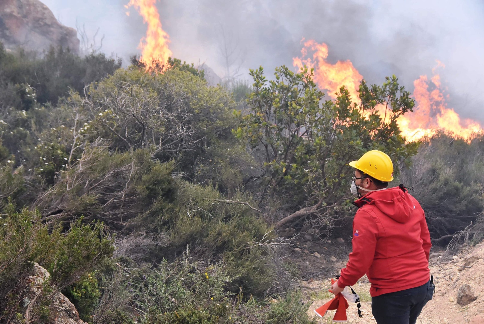 Bodrum’daki orman yangını 6 saat sonunda kontrol altına alındı 12