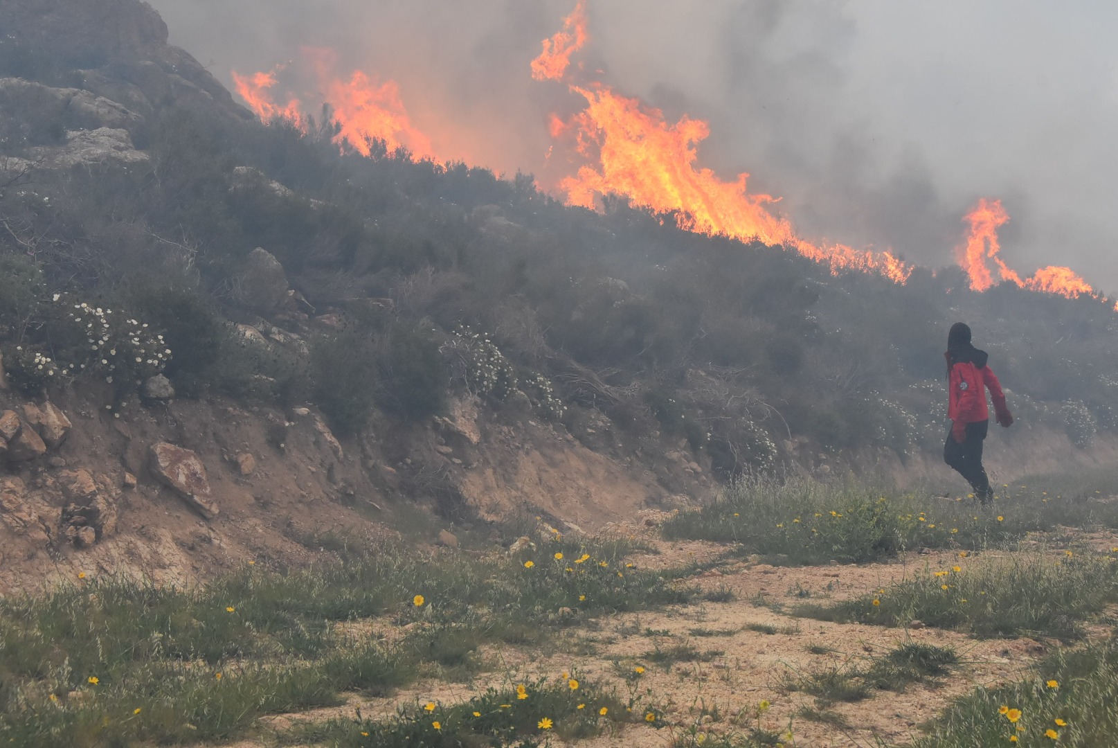 Bodrum’daki orman yangını 6 saat sonunda kontrol altına alındı 6