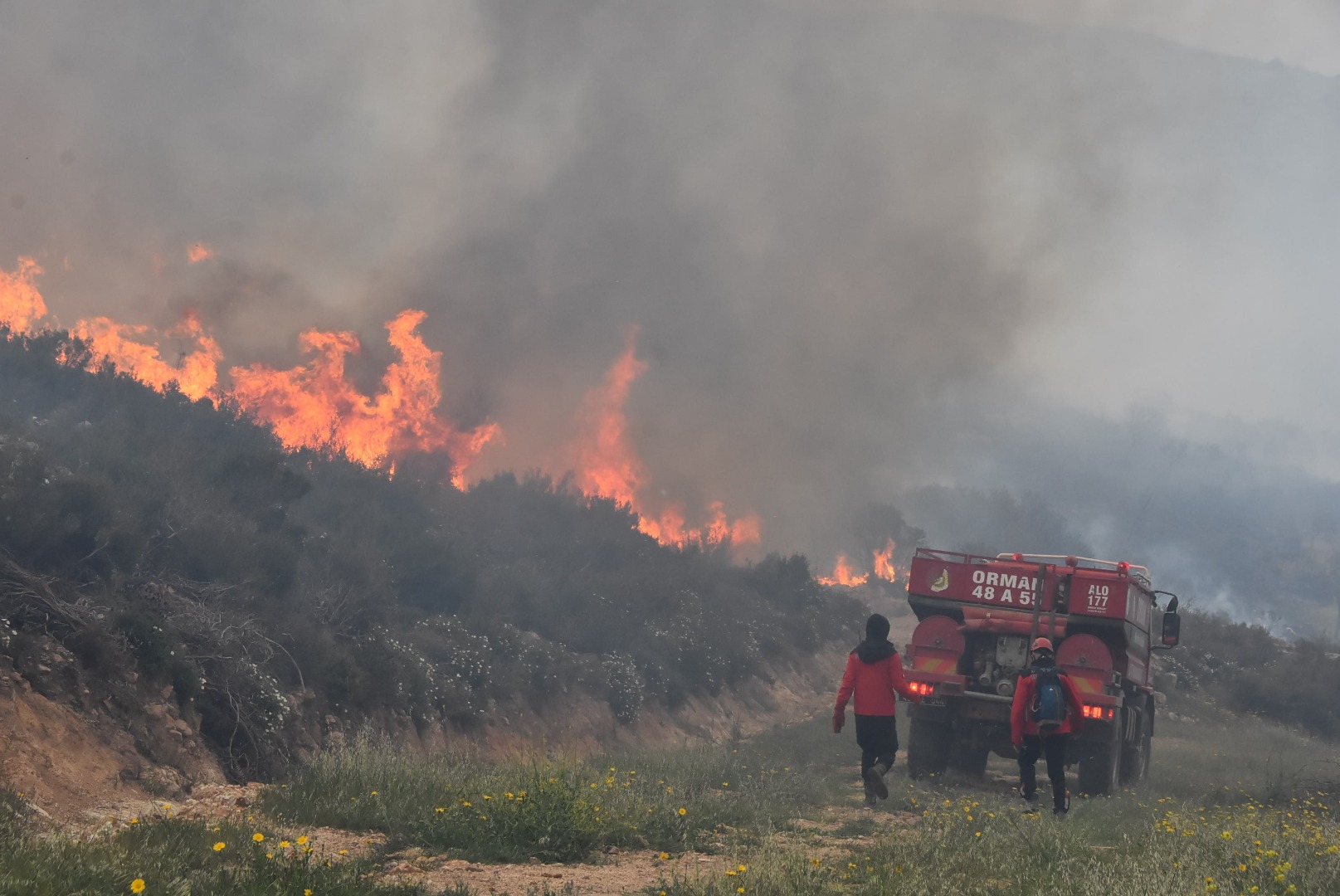 Bodrum’daki orman yangını 6 saat sonunda kontrol altına alındı 1
