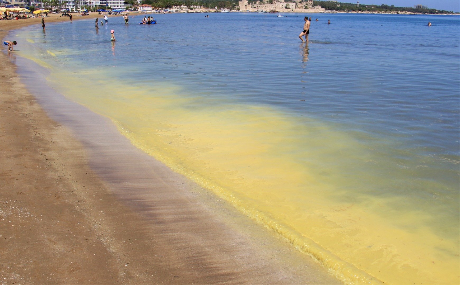 Mersin'de korkutan görüntü: Kızkalesi sahili başta olmak üzere birçok bölgede sahil sarıya büründü, binlerce arı telef oldu 7