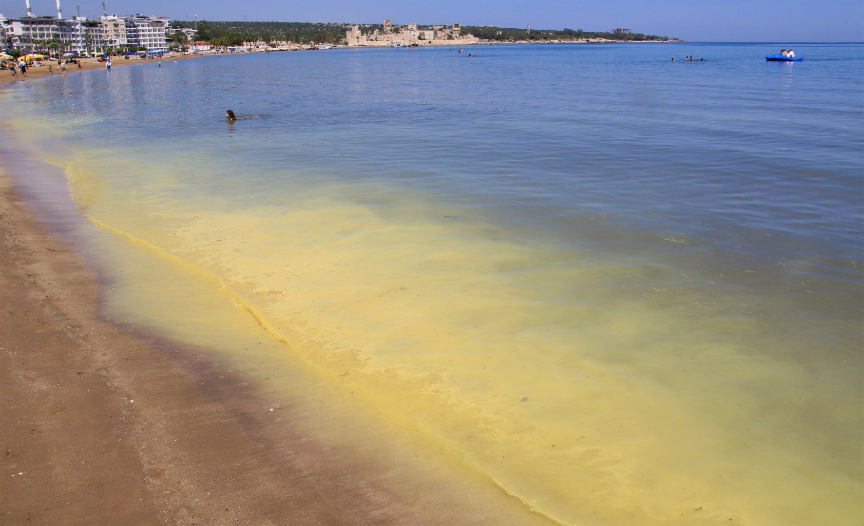 Mersin'de korkutan görüntü: Kızkalesi sahili başta olmak üzere birçok bölgede sahil sarıya büründü, binlerce arı telef oldu 2