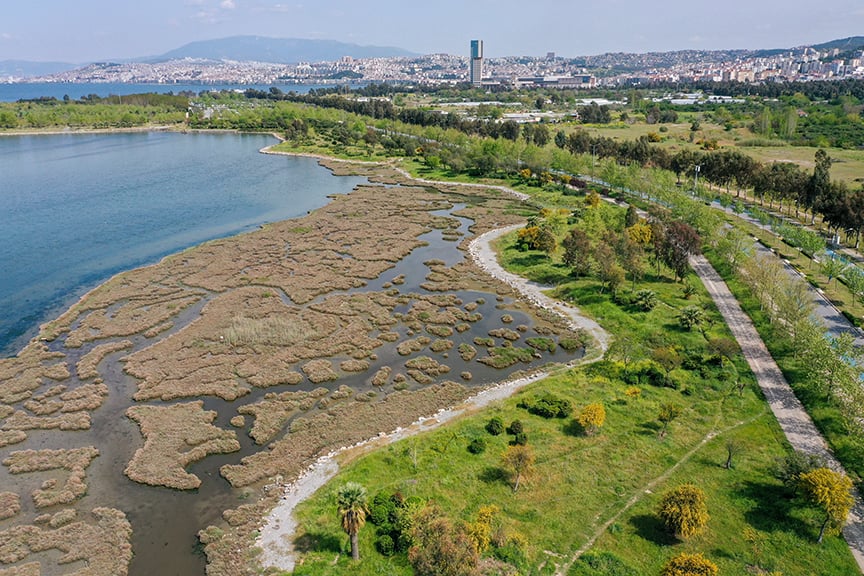 İzmir'deki Çakalburnu Lagünü ve kent ormanında ilkbahar güzelliği 5