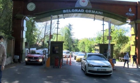 Belgrad Ormanı'na akın ettiler 2