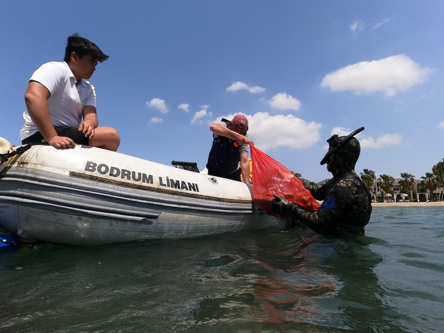 Sahilden geçenler gözlerini alamadı: Denizin dibine daldılar 342 kilo çıkardılar 5