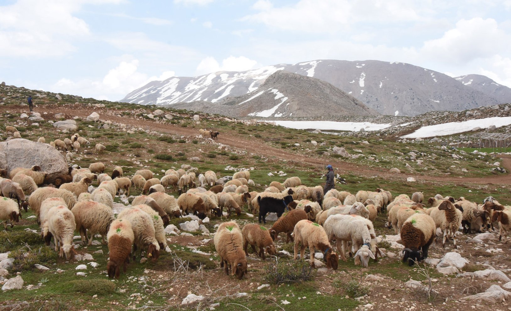 Toroslarda Mayıs atında kar manzaraları 2