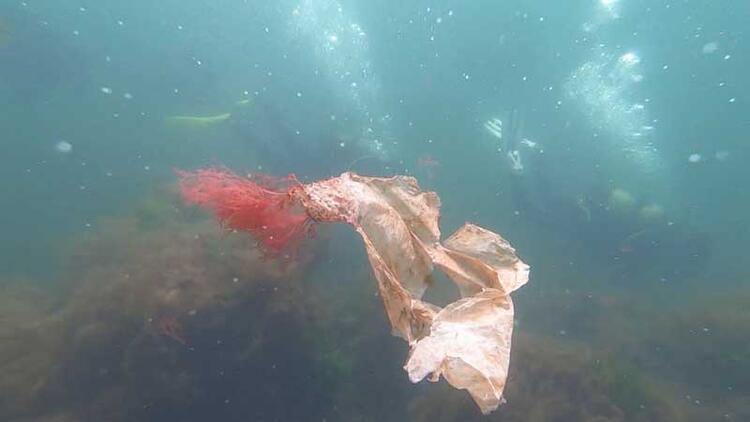 Karadeniz çöplüğe döndü! Biri bu katliama dur desin… 11