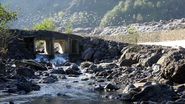 Karadeniz çöplüğe döndü! Biri bu katliama dur desin… 1