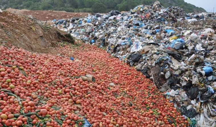 Antalya'da tonlarca sebzeyi boş araziye döktüler 5