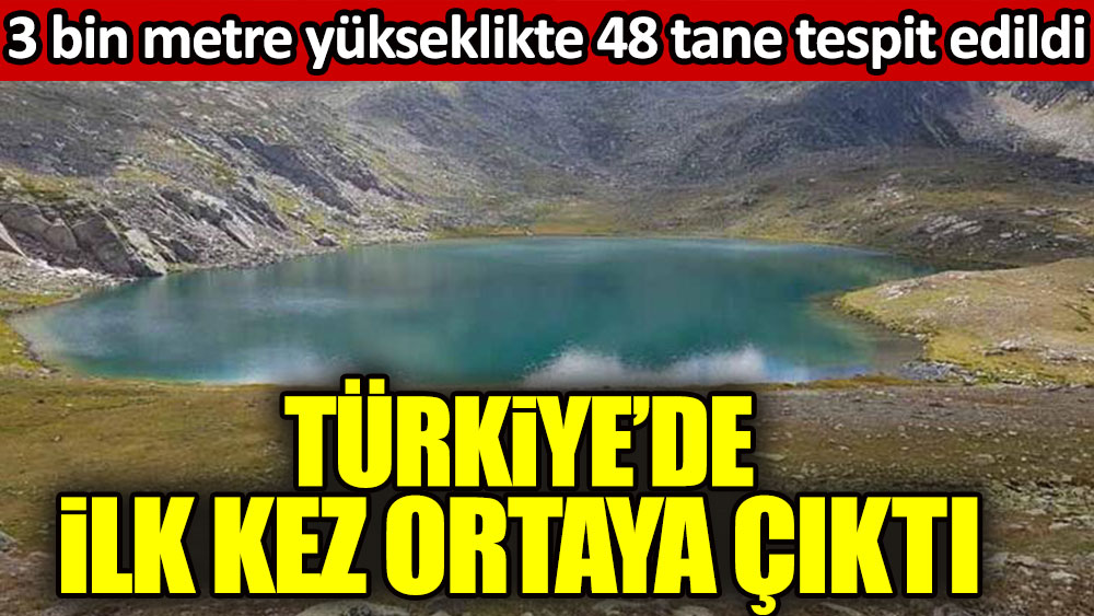Türkiye’de ilk kez görüldü. 3 bin metrede 48 tane tespit edildi 1