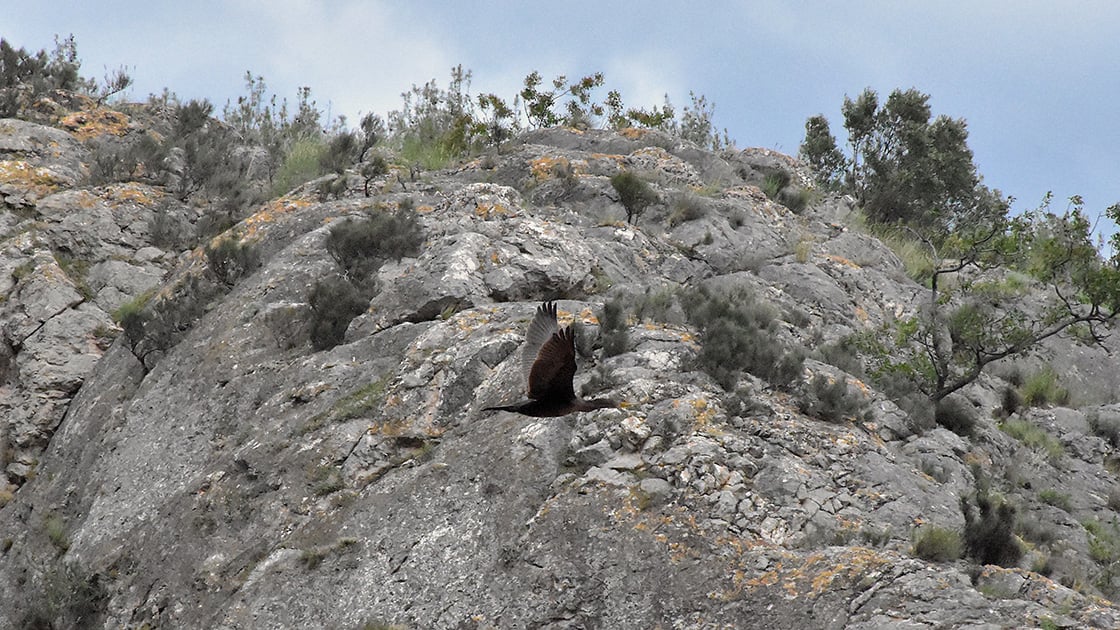 1 kilometrelik kanyon doğa tutkunlarını bekliyor 4