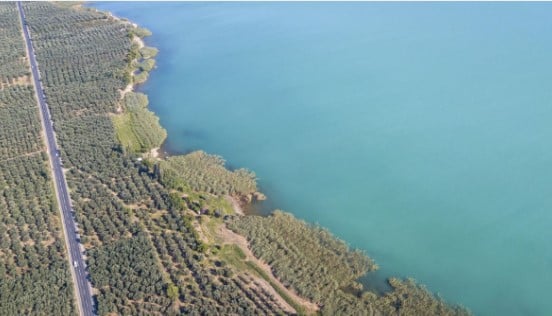 İznik Gölü turkuaz renge büründü 1