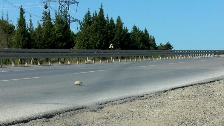 İstanbul'da bu yolları kullanın sürücüler dikkat! Kaplumbağa çıkabilir… 15