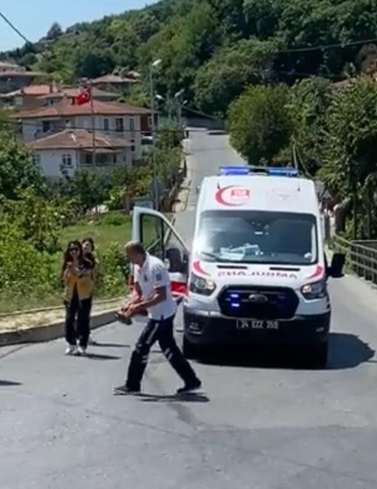 İstanbul'da bu yolları kullanın sürücüler dikkat! Kaplumbağa çıkabilir… 7