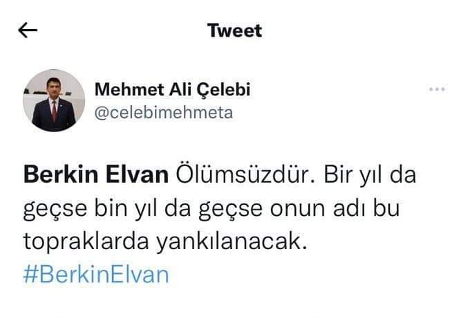 Mehmet Ali Çelebi'nin AKP aleyhine olan tweetleri sildiği ortaya çıktı | Diyanet, Berkin Elvan, Fesli Kadir 5