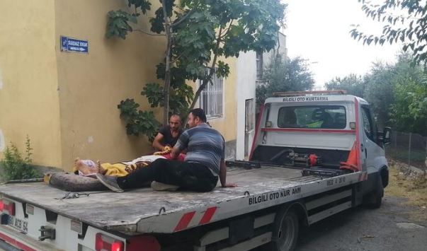 Hani sağlıkta çağ atlanmıştı. Ambulans verilmeyince hasta çekiciyle hastaneye götürüldü 3