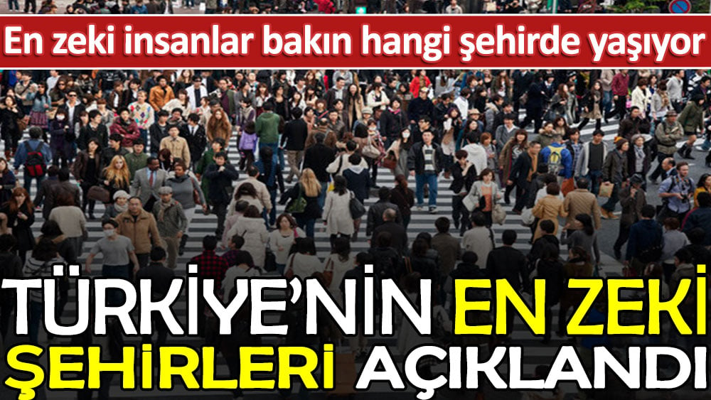 Türkiye'nin en zeki şehirleri açıklandı: En zeki insanlar bakın hangi şehirde yaşıyor 1