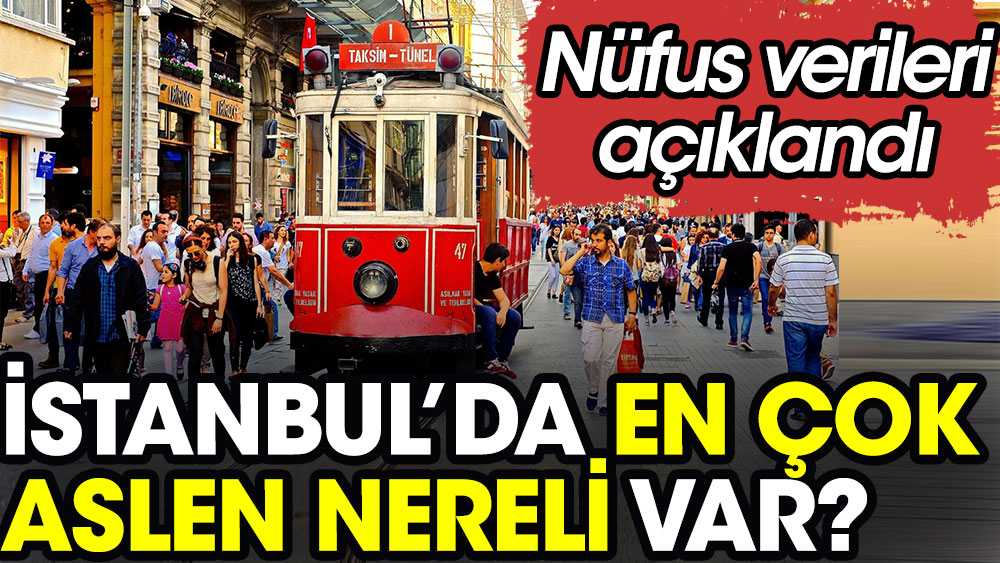 İstanbul’da en çok aslen nereli var? Nüfus verileri açıklandı 1