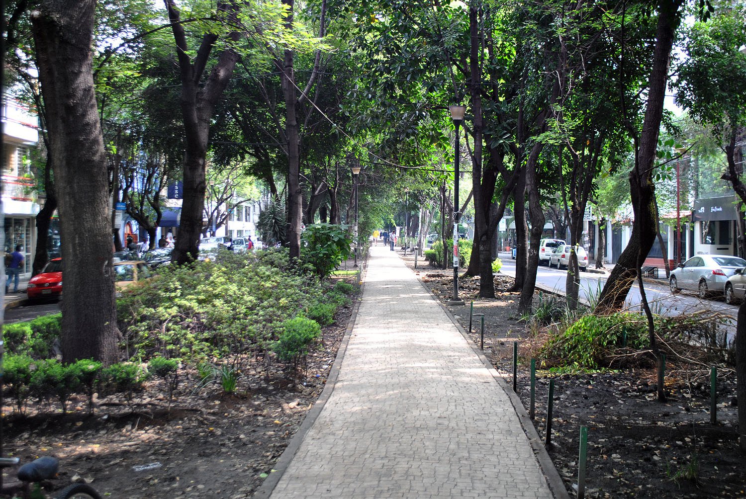 Dünyanın en havalı caddeleri belli oldu: Listede Türkiye’nin bir caddesi de var 12