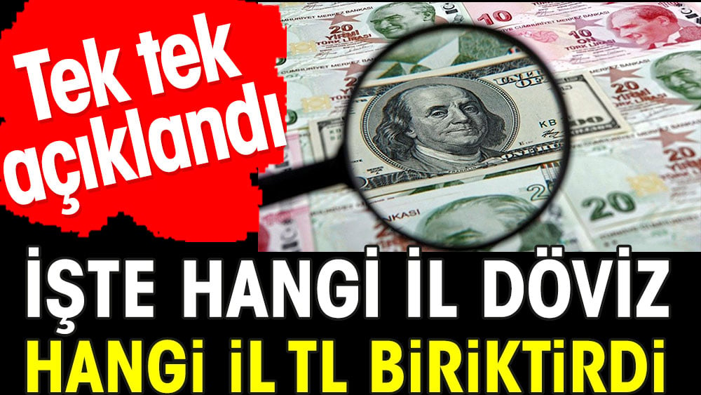 Tek tek açıklandı. Hangi il döviz hangi il TL biriktirdi 1