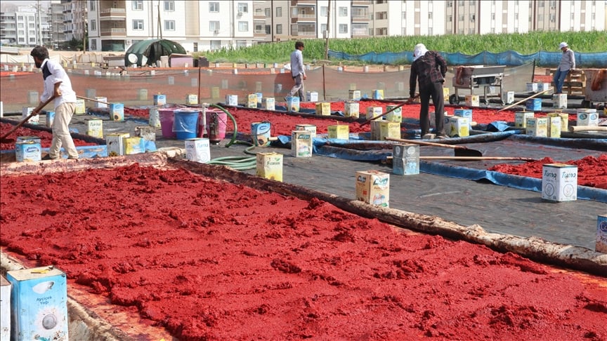 Açık hava tesisleri kuruldu. Şanlıurfa'da 'isot reçeli' sezonu başladı 12