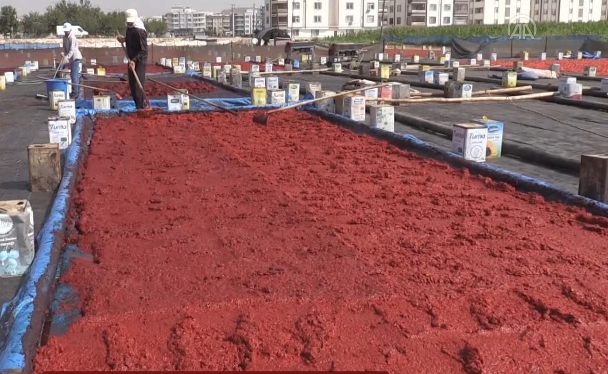 Açık hava tesisleri kuruldu. Şanlıurfa'da 'isot reçeli' sezonu başladı 9