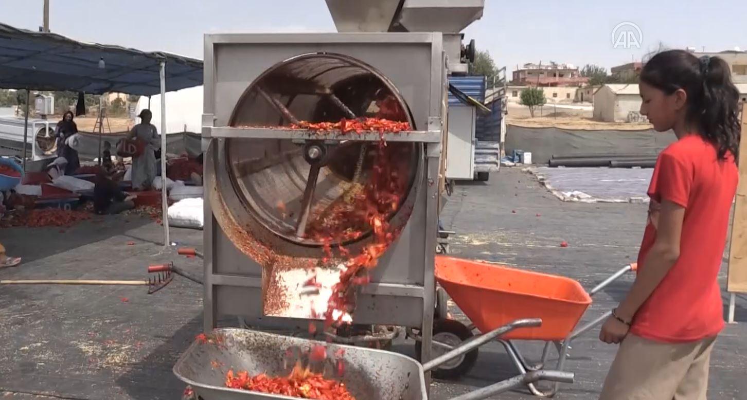 Açık hava tesisleri kuruldu. Şanlıurfa'da 'isot reçeli' sezonu başladı 2