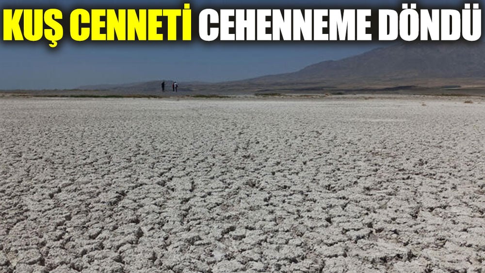 Kuş cenneti cehenneme döndü 1