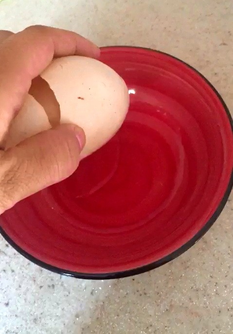Yumurtanın içinden çıkan hayrete düşürdü 3