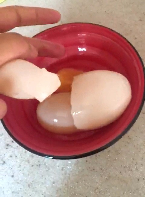 Yumurtanın içinden çıkan hayrete düşürdü 2