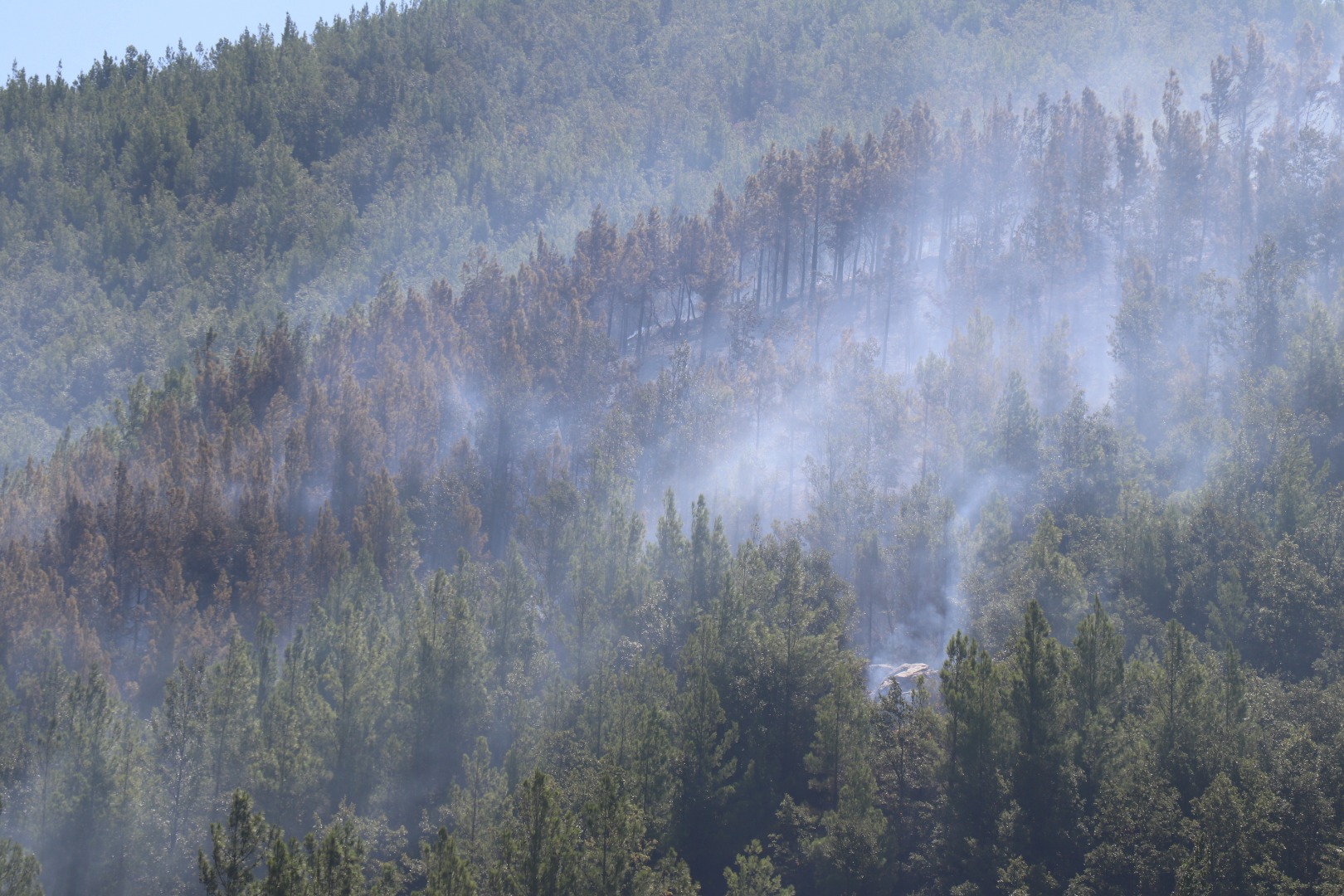 Alanya'daki orman yangını kontrol altında 14