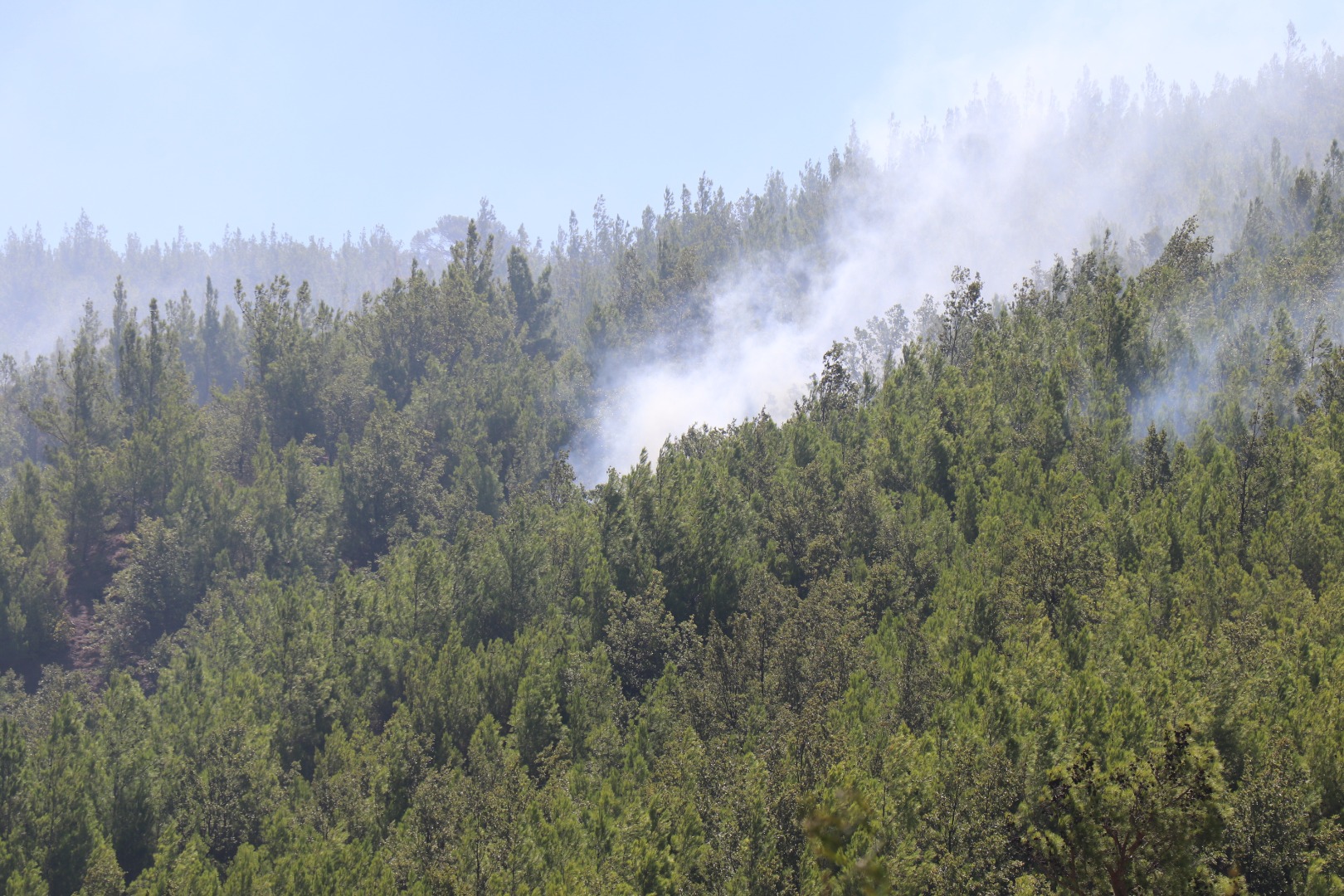 Alanya'daki orman yangını kontrol altında 10