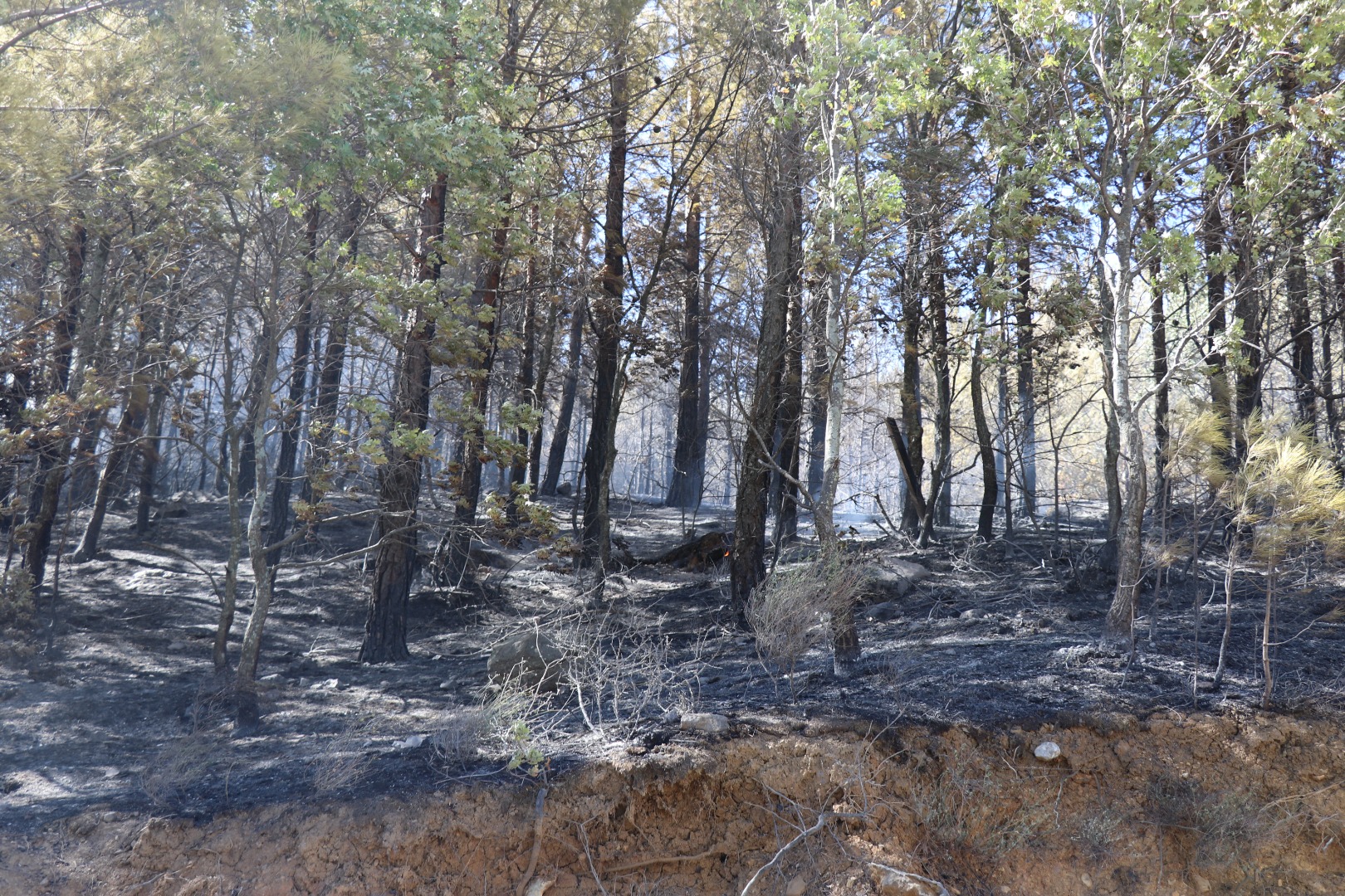 Alanya'daki orman yangını kontrol altında 18