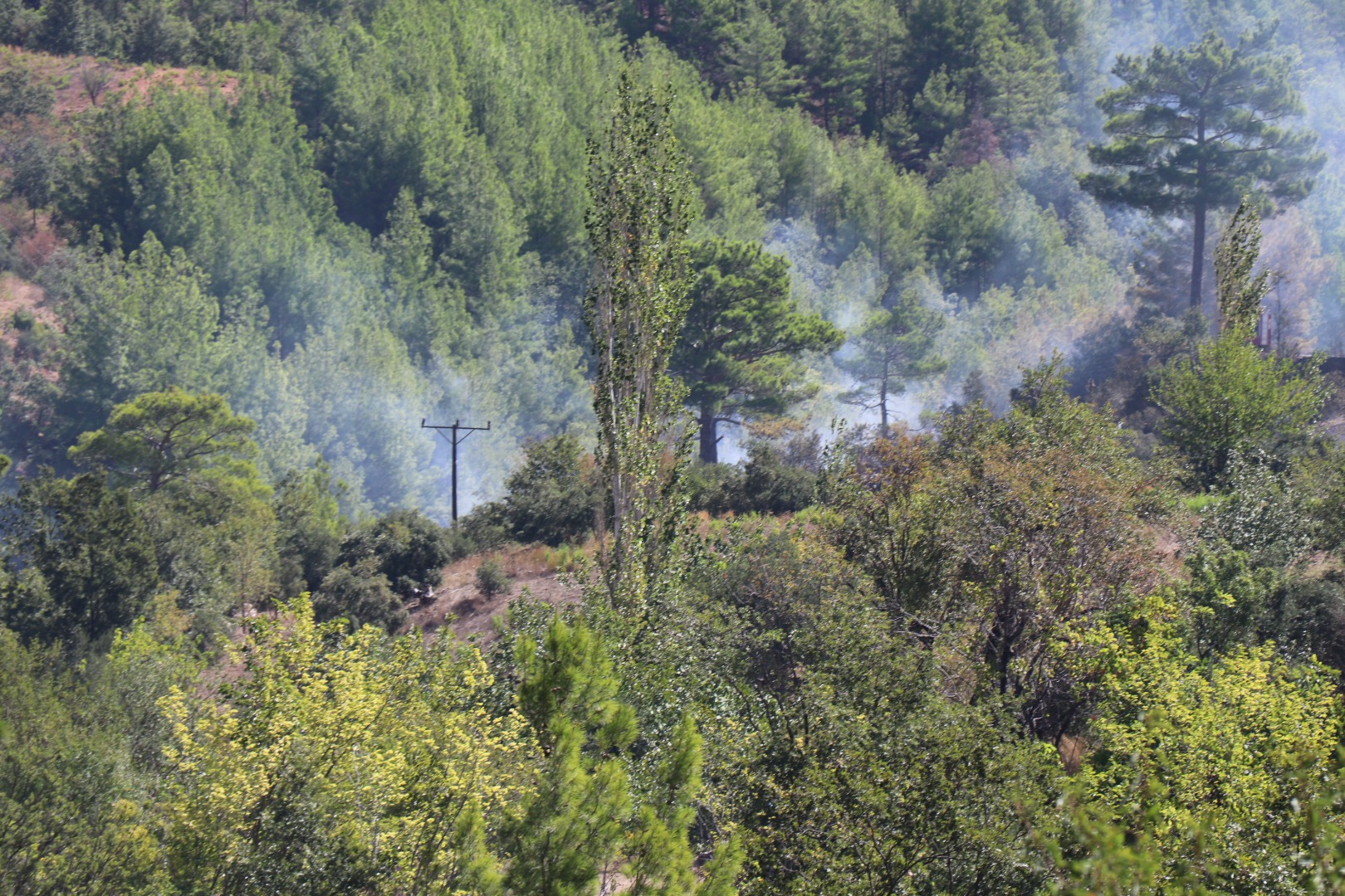 Alanya'daki orman yangını kontrol altında 12