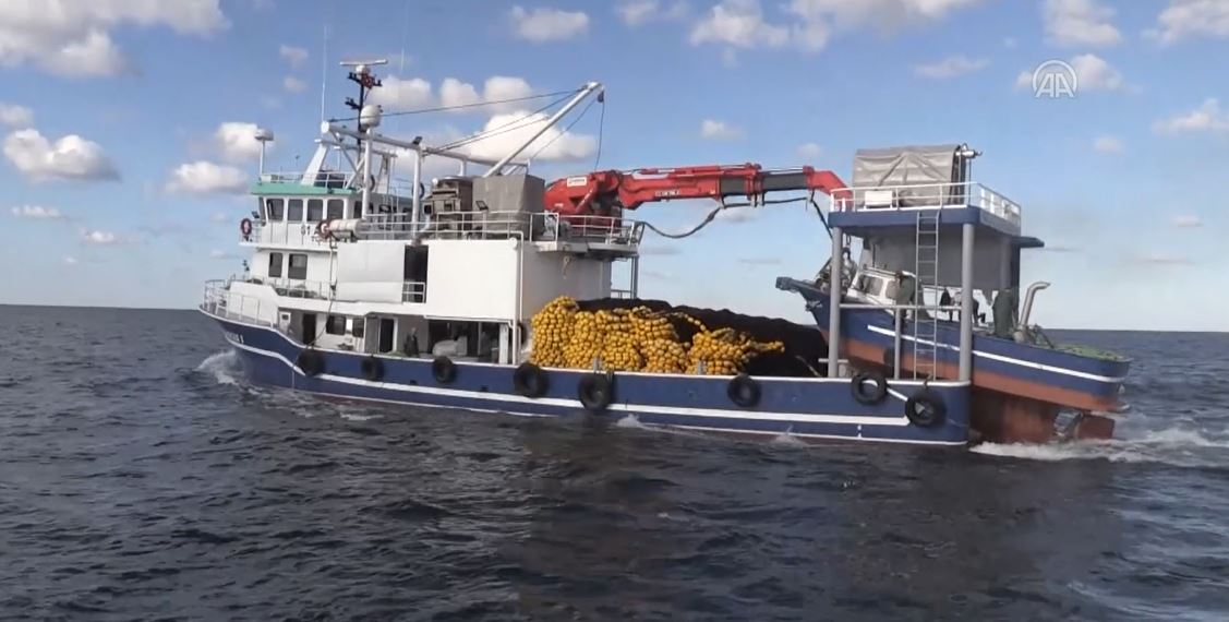 Karadenizli balıkçıların ağları palamutla doldu. Balıkçıların yüzünü palamut güldürdü 10