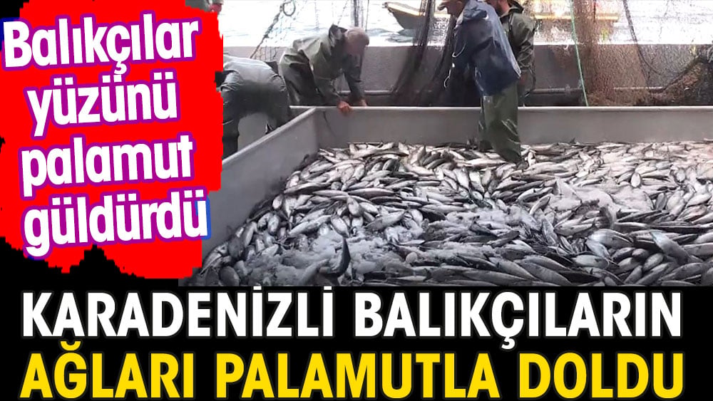 Karadenizli balıkçıların ağları palamutla doldu. Balıkçıların yüzünü palamut güldürdü 1