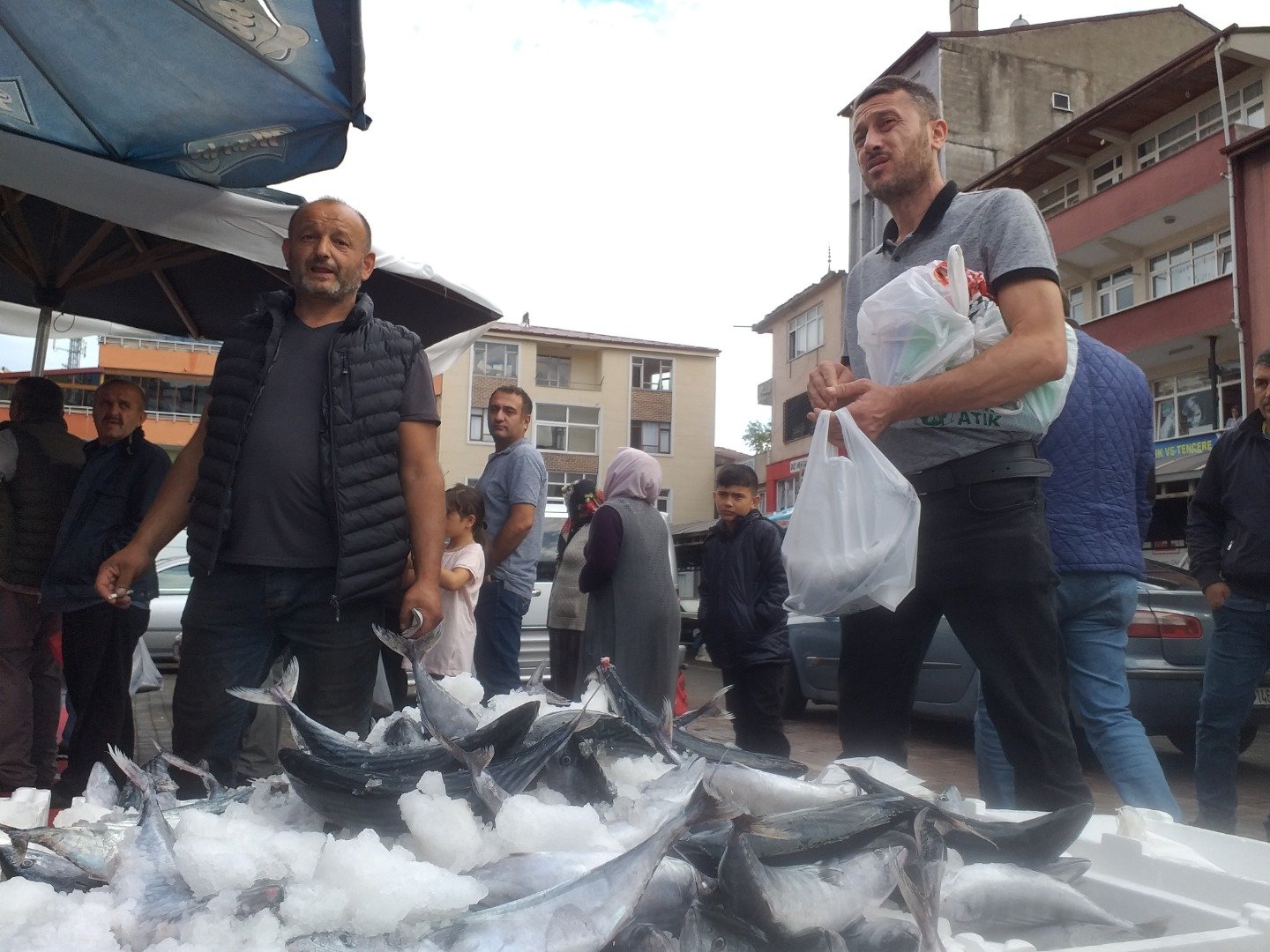 Palamut bollaştıkça tezgahtaki fiyatı da düşüyor 12