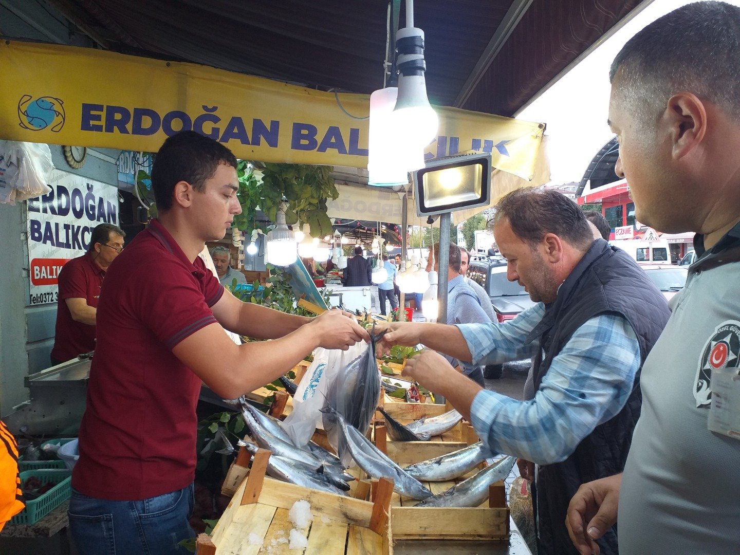 Palamut bollaştıkça tezgahtaki fiyatı da düşüyor 10