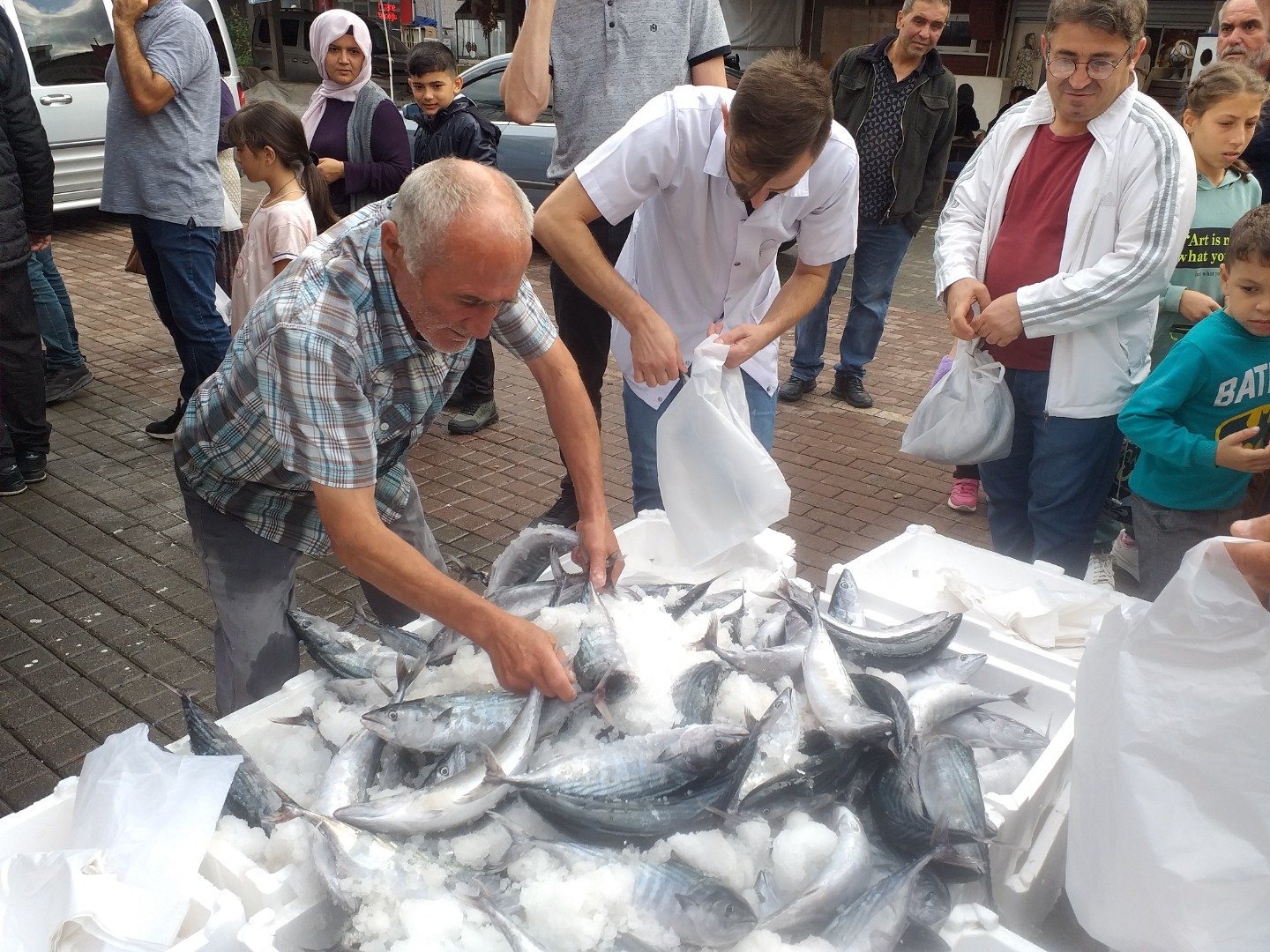 Palamut bollaştıkça tezgahtaki fiyatı da düşüyor 2