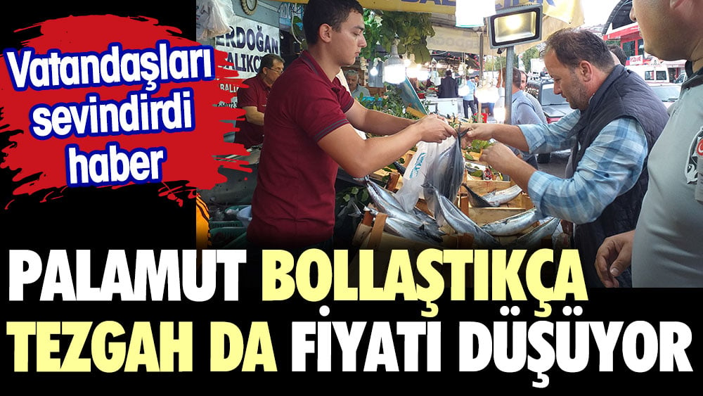 Palamut bollaştıkça tezgahtaki fiyatı da düşüyor 1