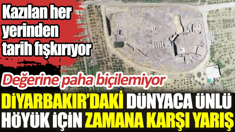 Diyarbakır’daki dünyaca ünlü 11 bin yıllık Gre Fılla Höyüğü için zamana karşı yarış. Değerine paha biçilemiyor 1