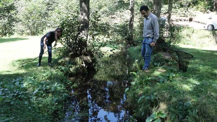 Karadeniz'de alarm! 3 türün nesli tehlikede 15