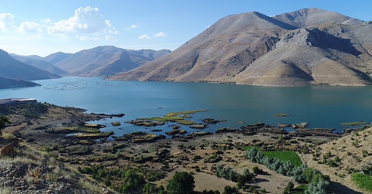 Çat Barajı'ndaki yüzen adalar karaya oturdu 5