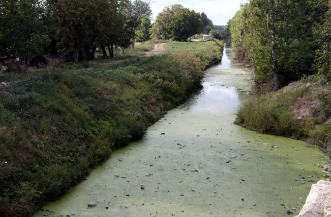 Tunca Nehri otlarla kaplandı. Bayır Deresi çöplüğe döndü 6