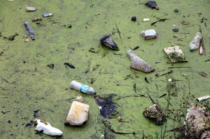 Tunca Nehri otlarla kaplandı. Bayır Deresi çöplüğe döndü 5