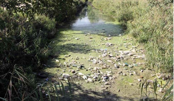 Tunca Nehri otlarla kaplandı. Bayır Deresi çöplüğe döndü 7